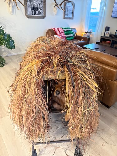 Customer photo review of Hunting Blind Raffia Grass (Pack)