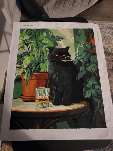 Customer's completed Grumpy Cat Paint by Number canvas, showing a fluffy black cat smoking next to a drink and plants.