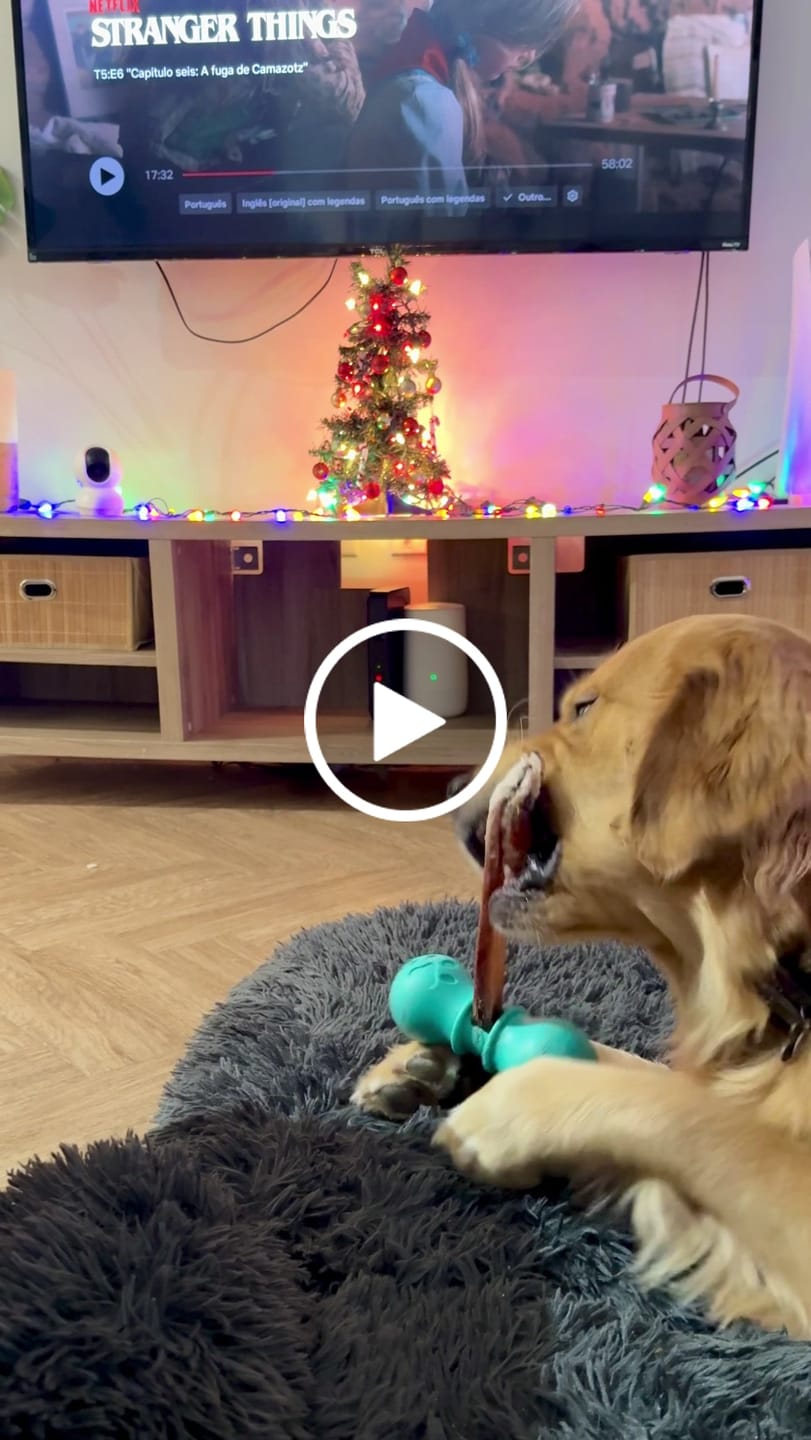 Customer video review of 6 Inch Monster Bully Stick