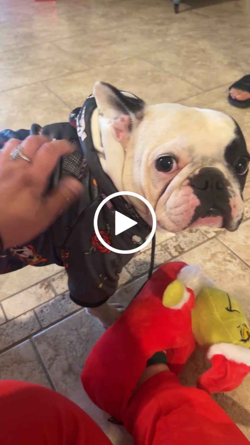 Customer video review of Rock and Roll Dog Hoodie
