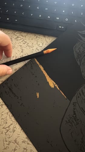 Customer photo review of Van Gogh Koleksiyonu