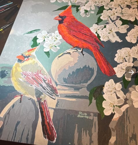 Customer photo review of Custom Pet Paint By Numbers