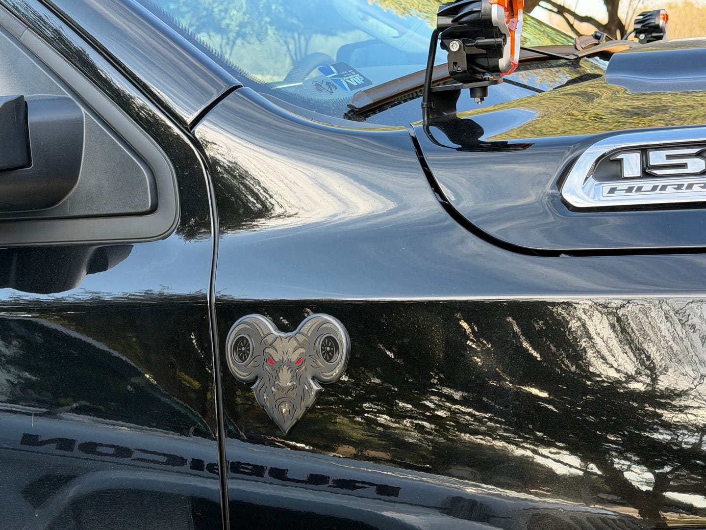 Customer photo review of Hurricane Twin Turbo Ram Head