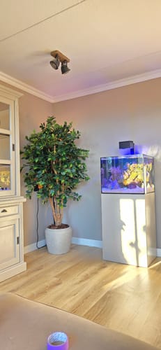 Customer photo review of Ficus Kunstplant 180cm