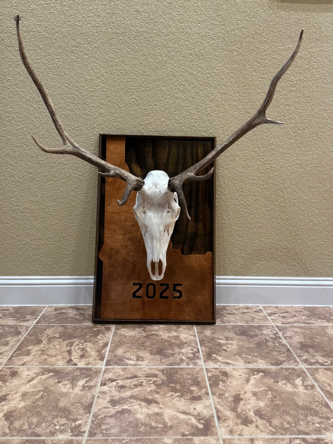 Customer photo review of SkulLok | Large Game
