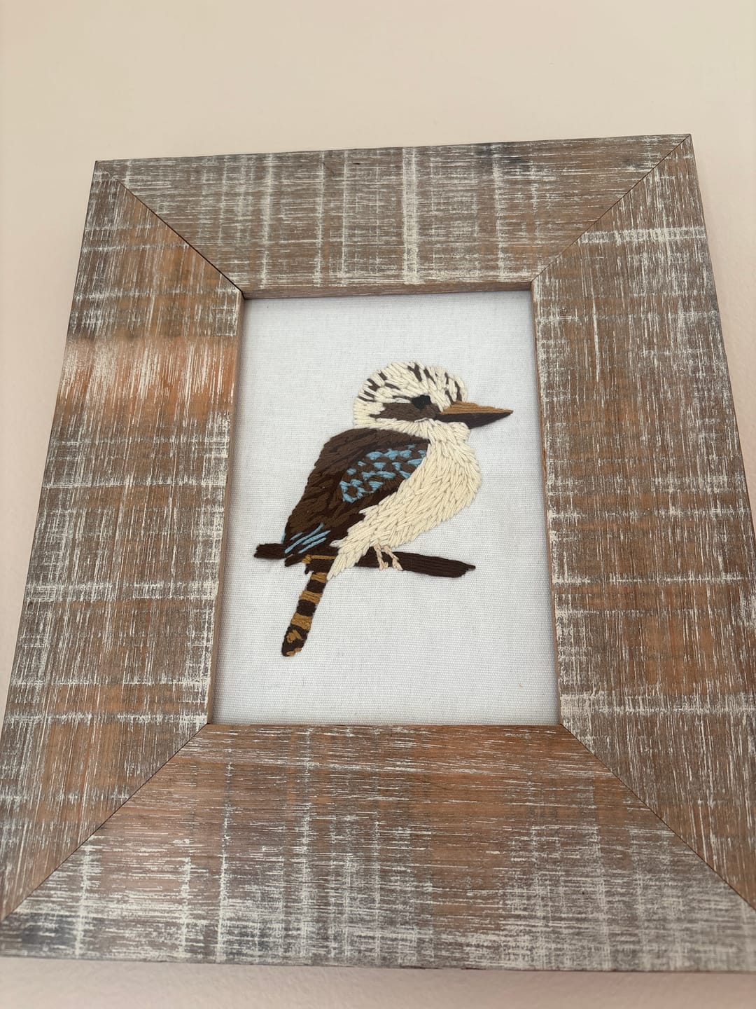 Customer photo review of Kookaburra (6")