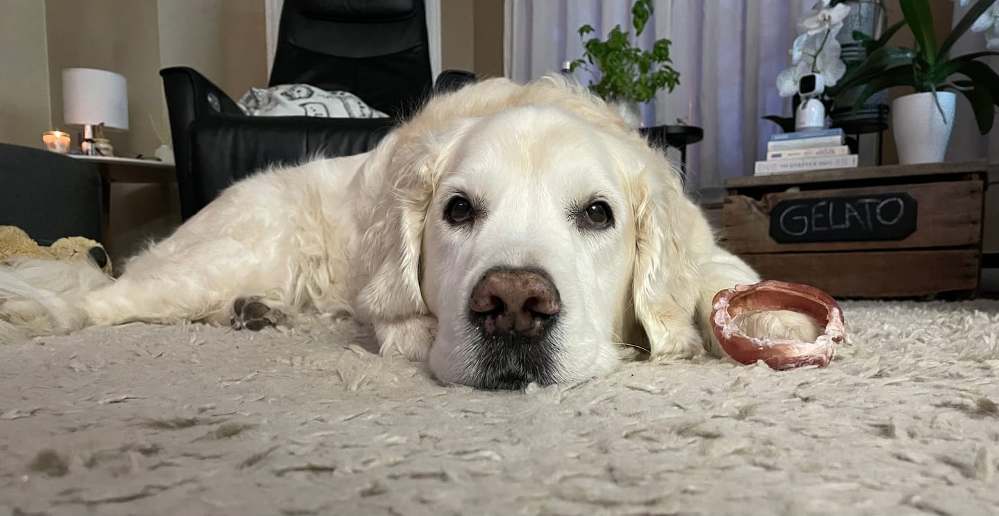 Customer photo review of Small Bully Stick Ring