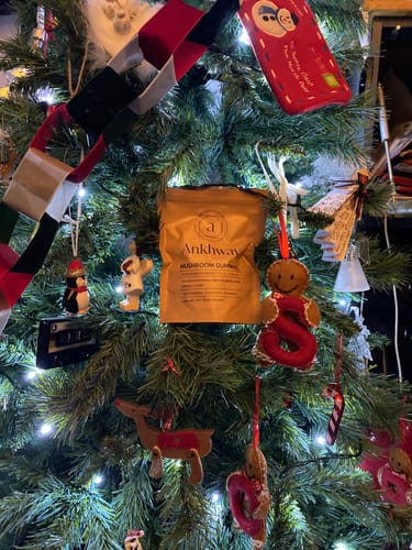 Customer photo review of 2-Month Mushroom Gummies