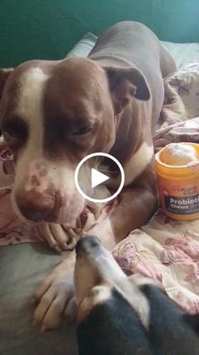 Video de Diana G.