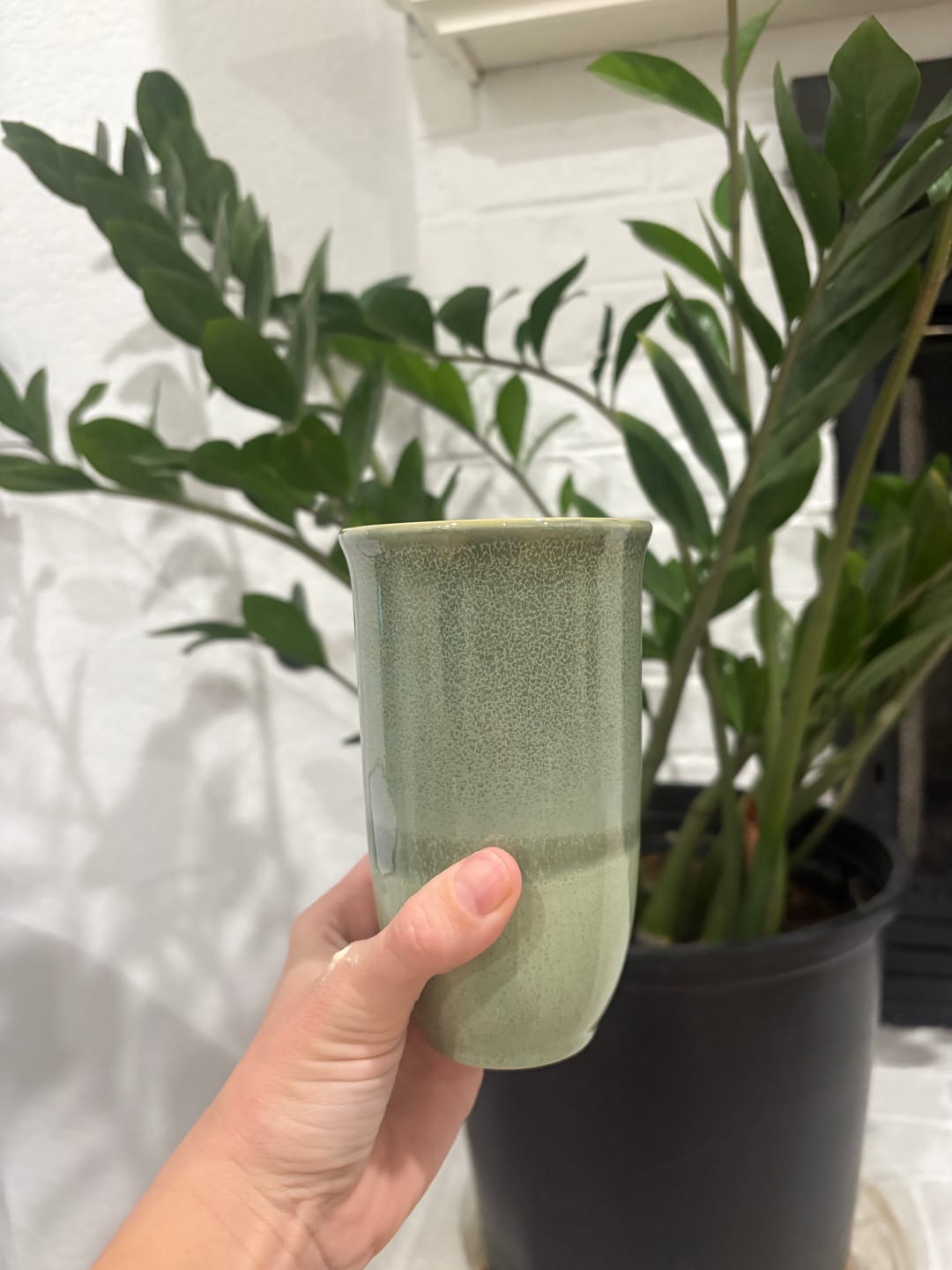 Customer photo review of Emerald Cup 16oz