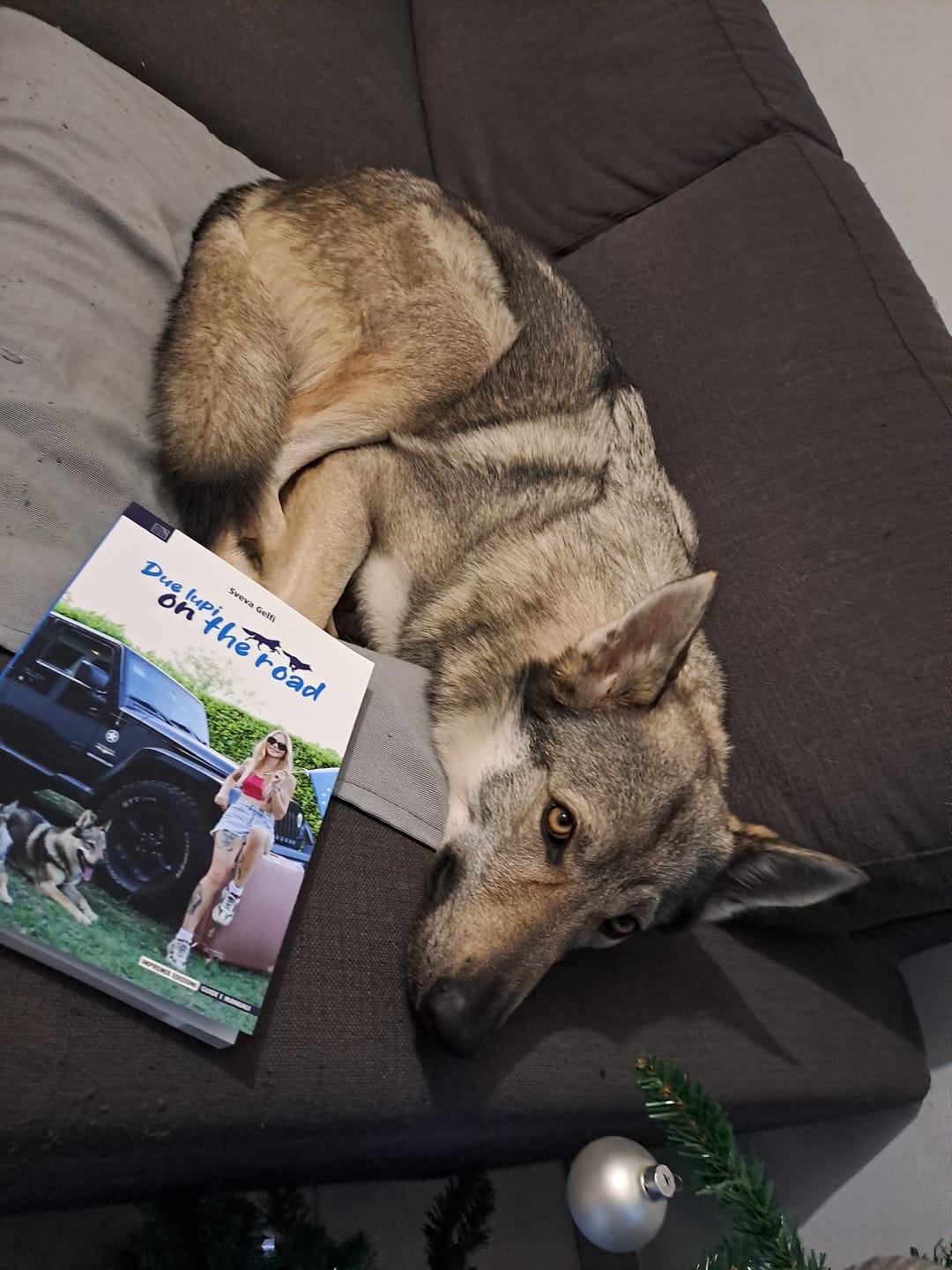 Customer photo review of Libro "Due Lupi On The Road" Sveva Gelfi