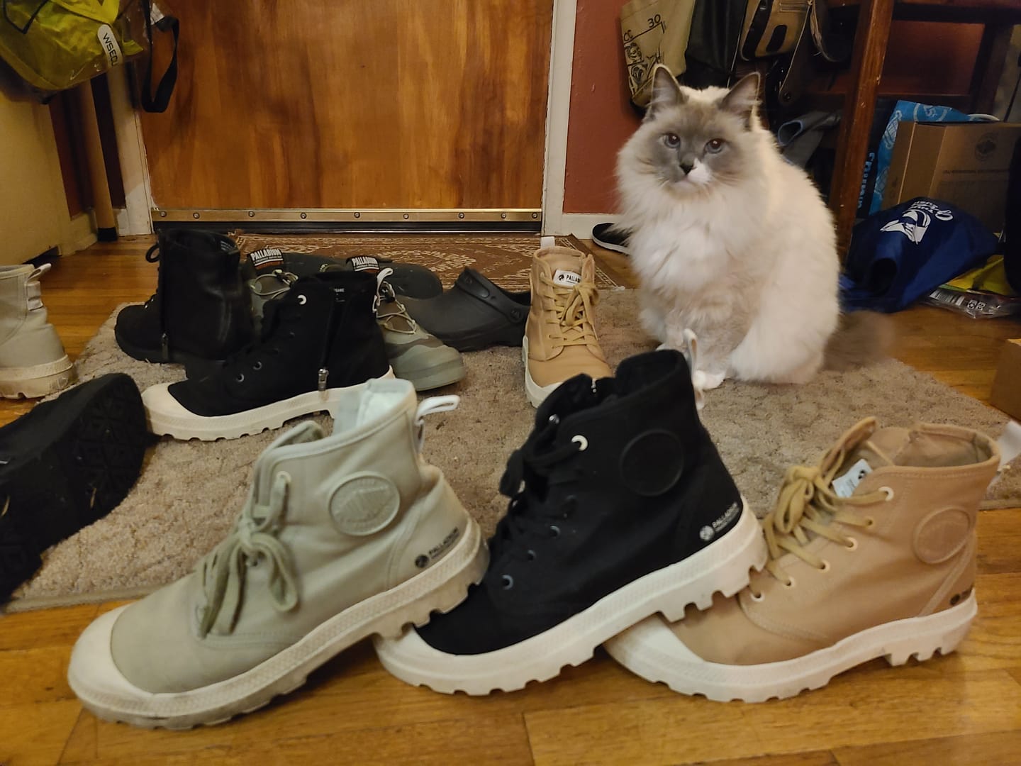 Customer photo review of 79101-008-M | PAMPA HI ZIP ORGANIC | BLACK