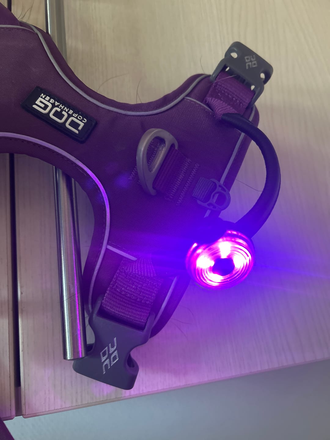 Customer photo review of Safety Light - 4-i-1 Lygte Til Hund
