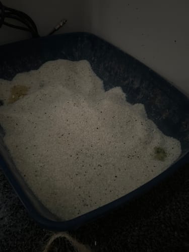 Customer photo review of Fit Litter