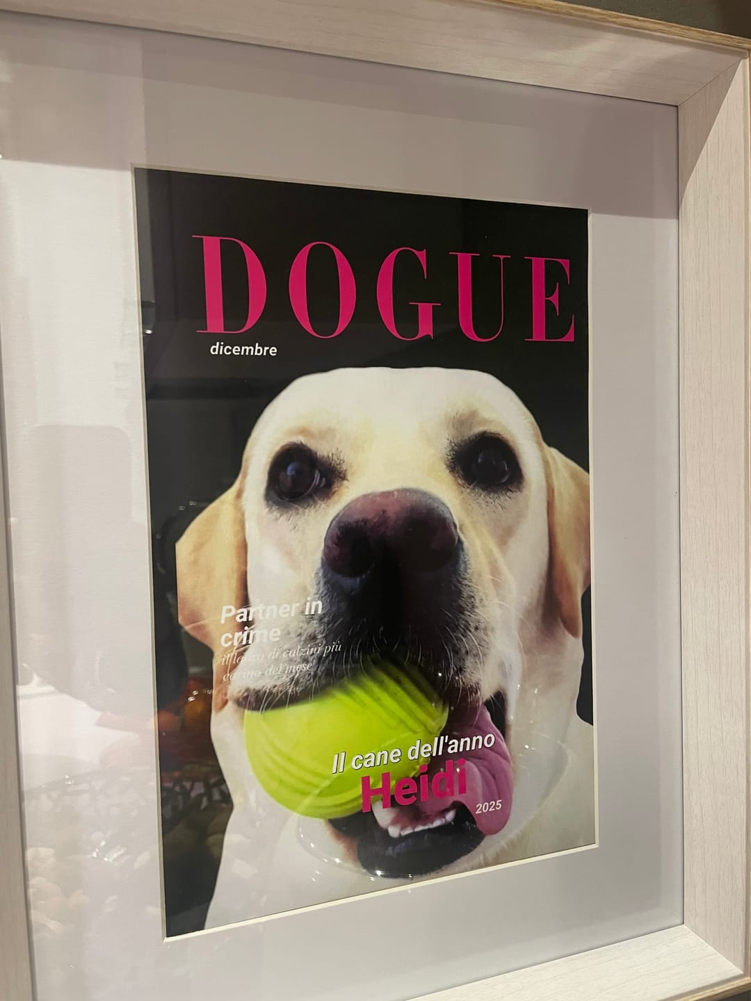 Customer photo review of Dogue - Poster personalizzato