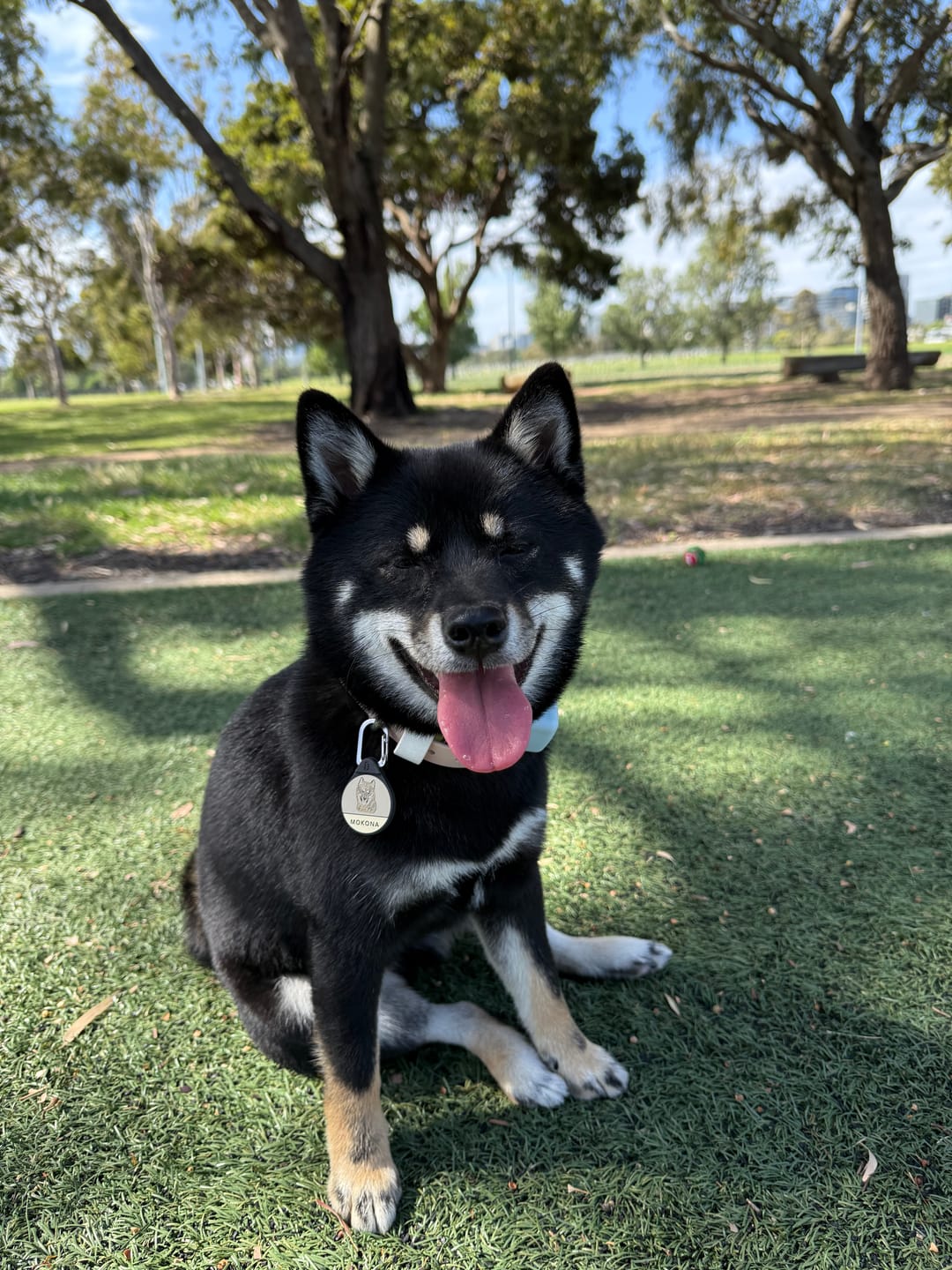 Customer photo review of Custom Portrait - Silent Dog ID Tag