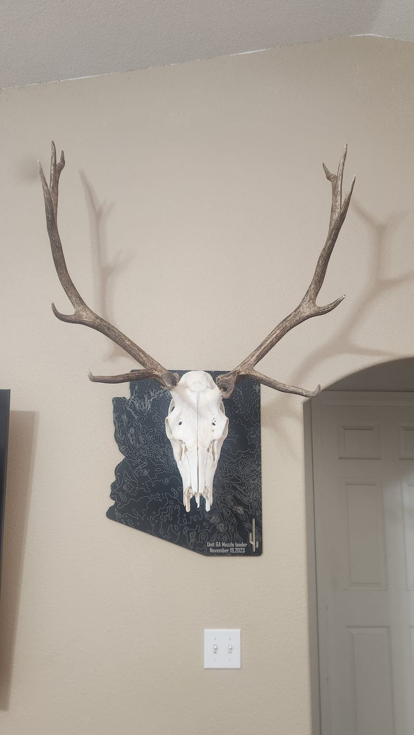 Customer photo review of Large Game Plaques