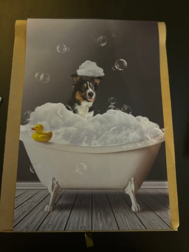 Customer photo review of Personalized Poster With Dog or Cat - Fun In The Tub