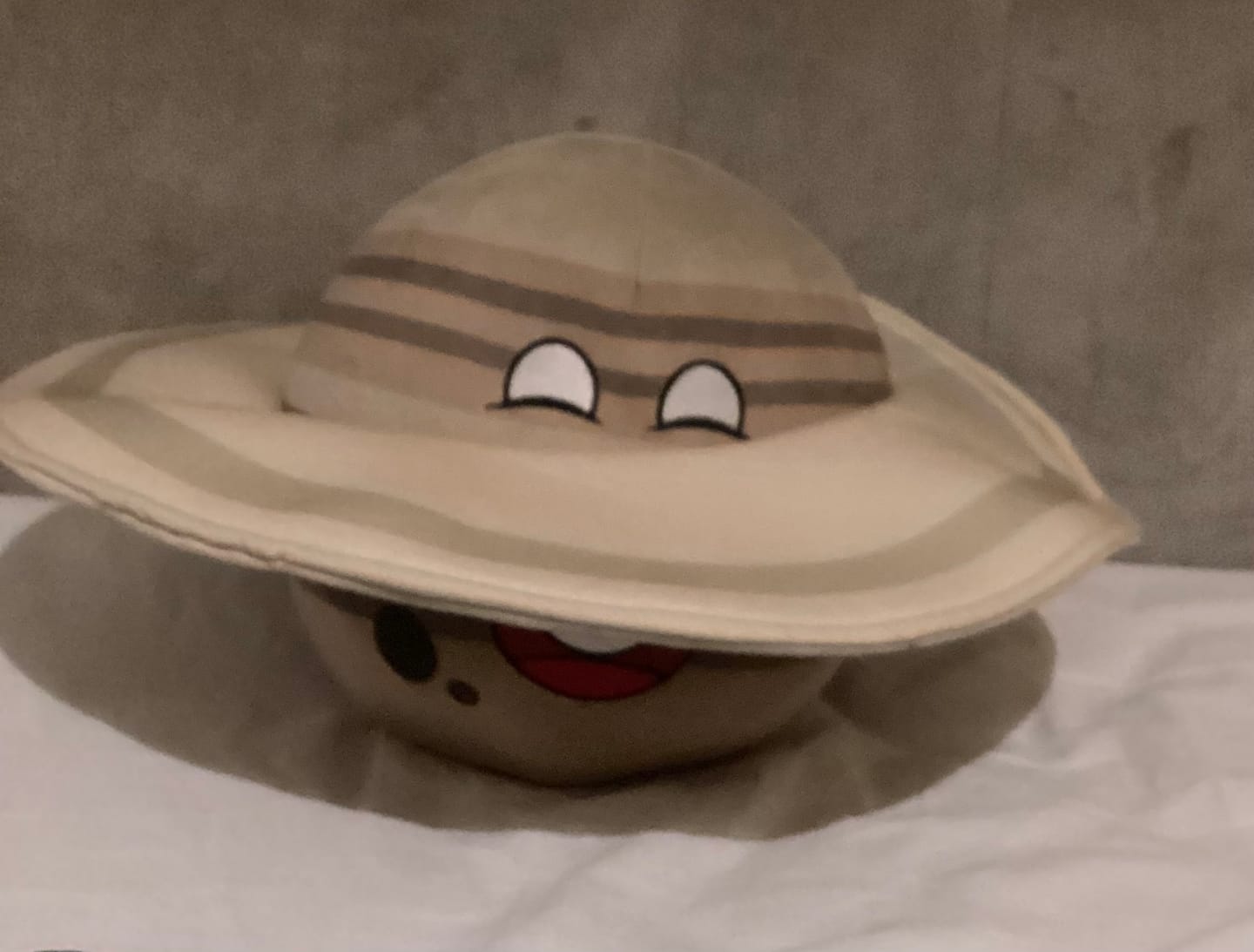 Customer photo review of The SolarBalls Saturn Plush