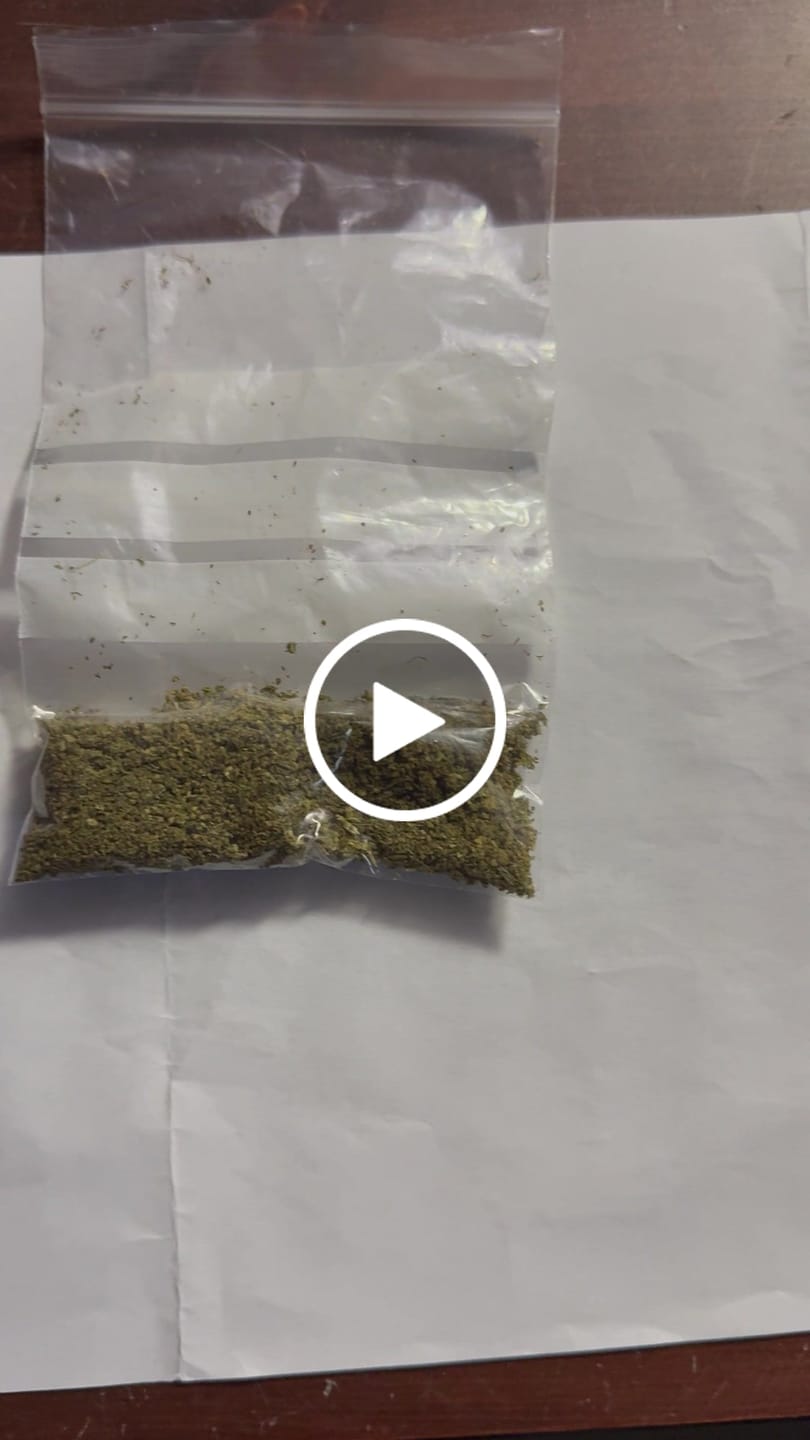 Customer video review of Super Silver Haze Extra Strong 60% - CBD Blüten - Indoor - Unsere stärkste Sorte