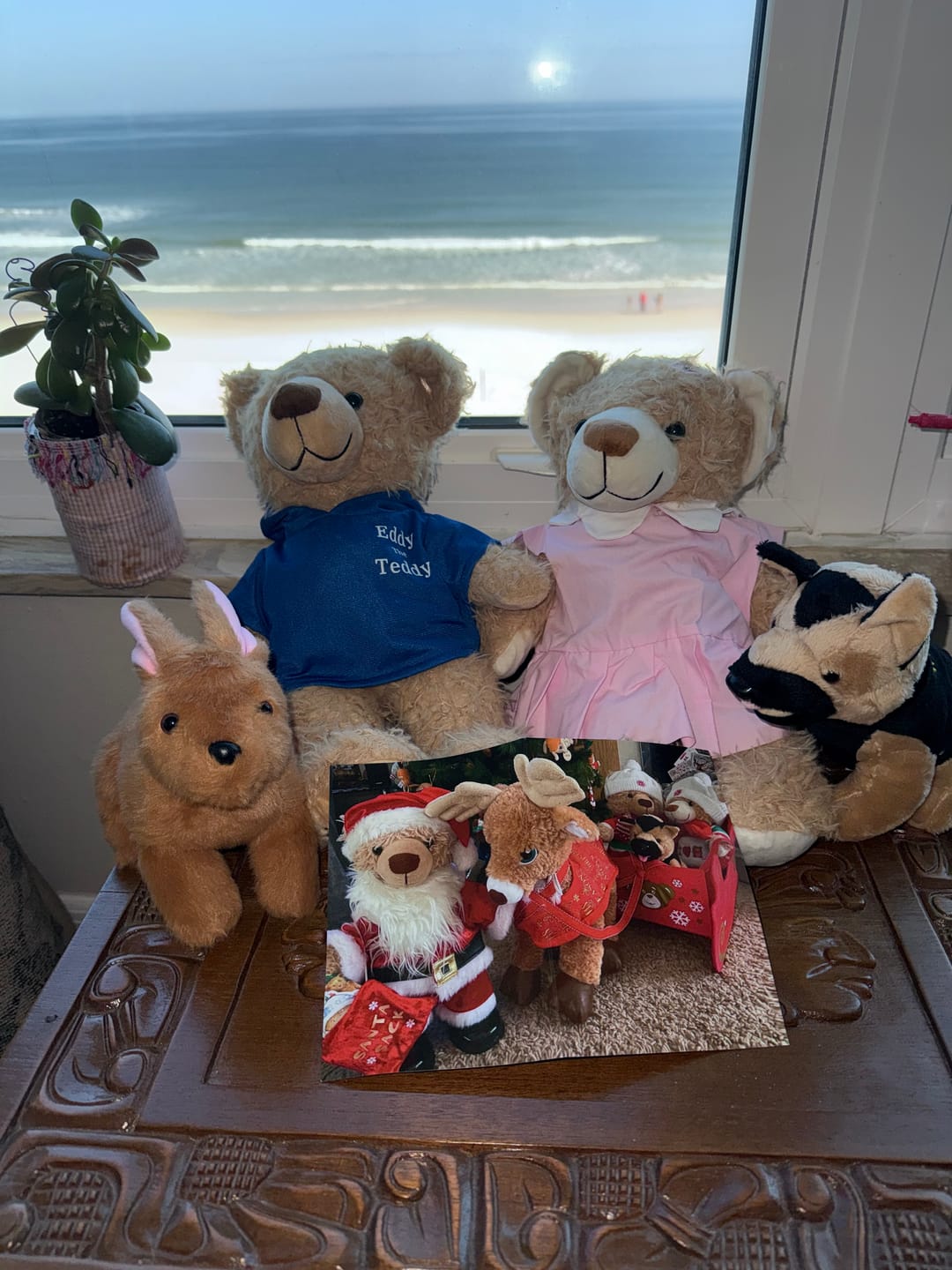 Customer photo review of Woof Woof the Dog