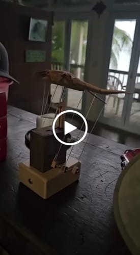 Customer video review of MarinerPoet™ Handcrafted Wooden Manta Ray Automaton