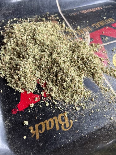 Customer photo review of Sour Joker - Sativa