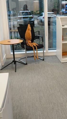 Customer photo review of Architeuthis Giant Squid Soft Stuffed Plush Toy