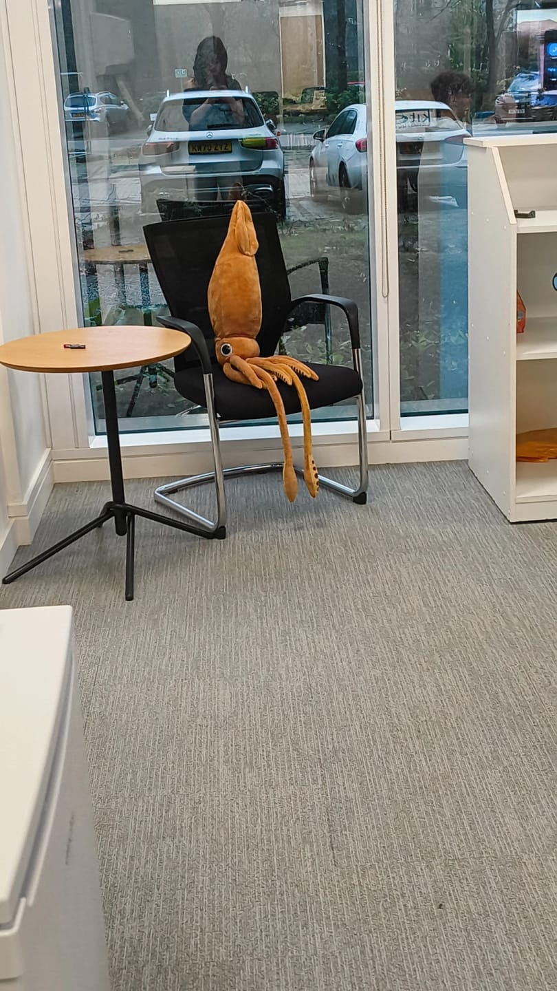 Customer photo review of Architeuthis Giant Squid Soft Stuffed Plush Toy