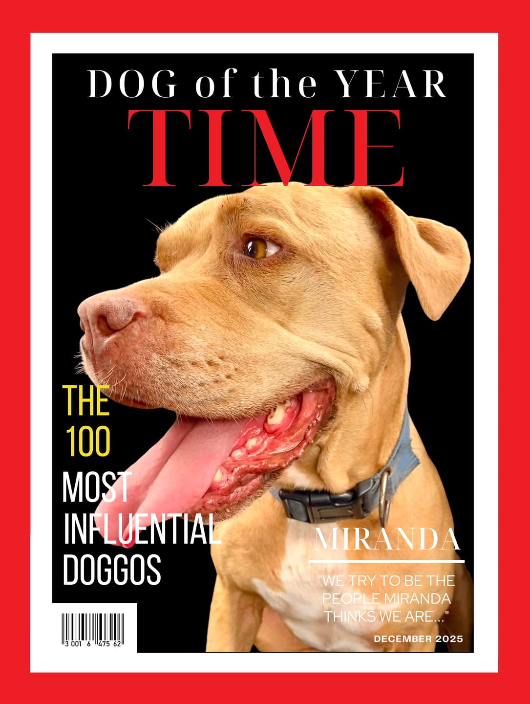 Customer photo review of Pet Portrait Magazine Cover