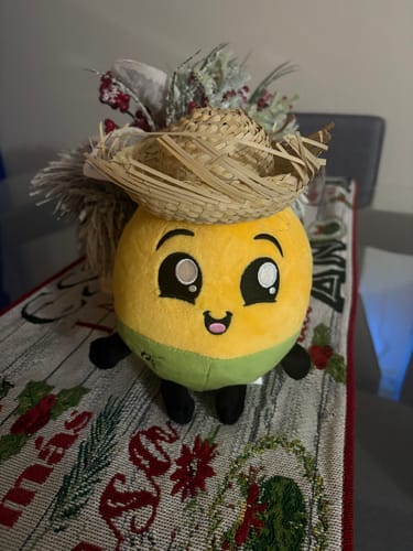 Customer photo review of Queni la Quenepa™ - Peluche “Collector’s Edition”