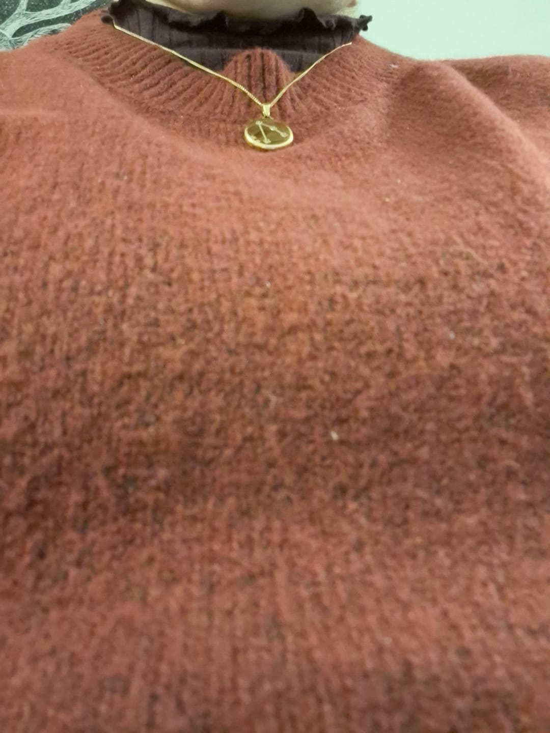 Customer photo review of Sternzeichen Halskette