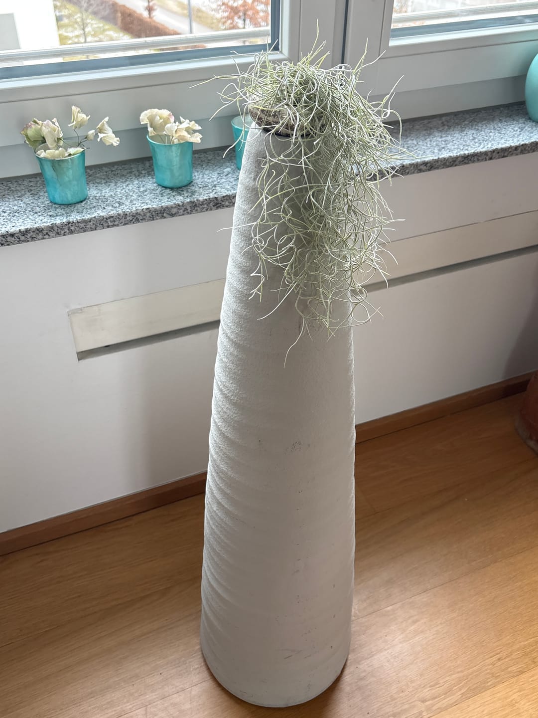 Customer photo review of Tillandsien Qualle