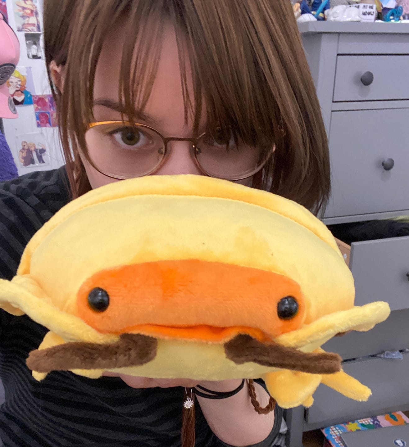Customer photo review of Roly-poly Bug Soft Stuffed Plush Toy