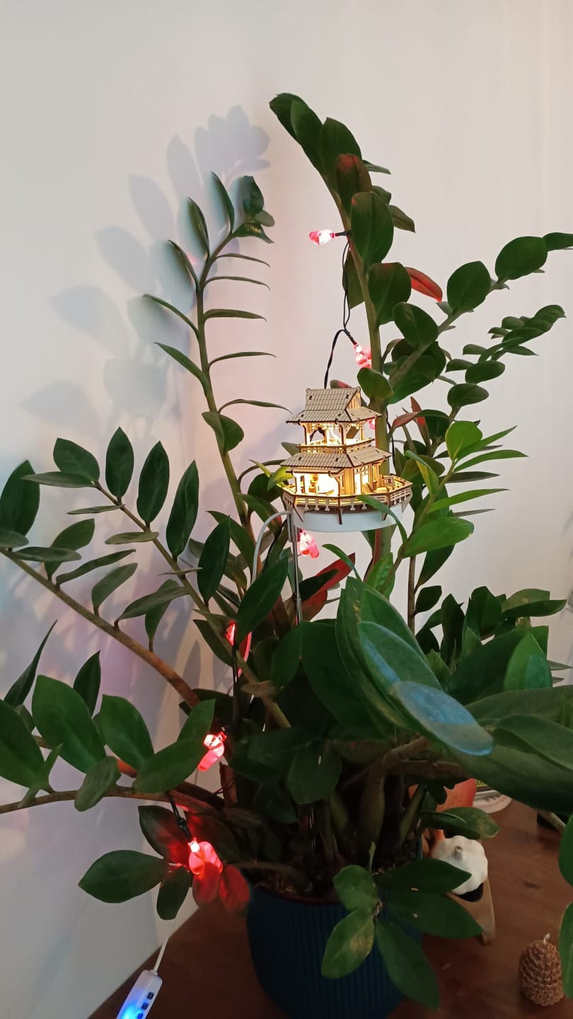 Customer photo review of Sunrise Terrace + Grow Light