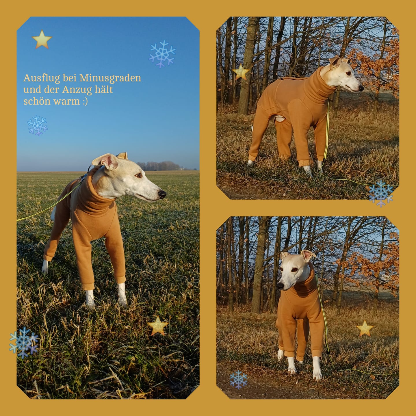 Customer photo review of Nuuk "Camel"