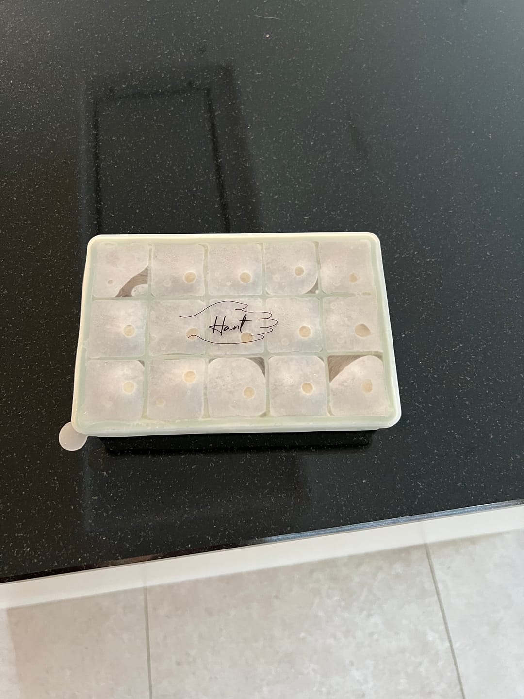 Customer photo review of Silicone Ijsblokjestray XL - Voeding Veilig - Capaciteit 400mL