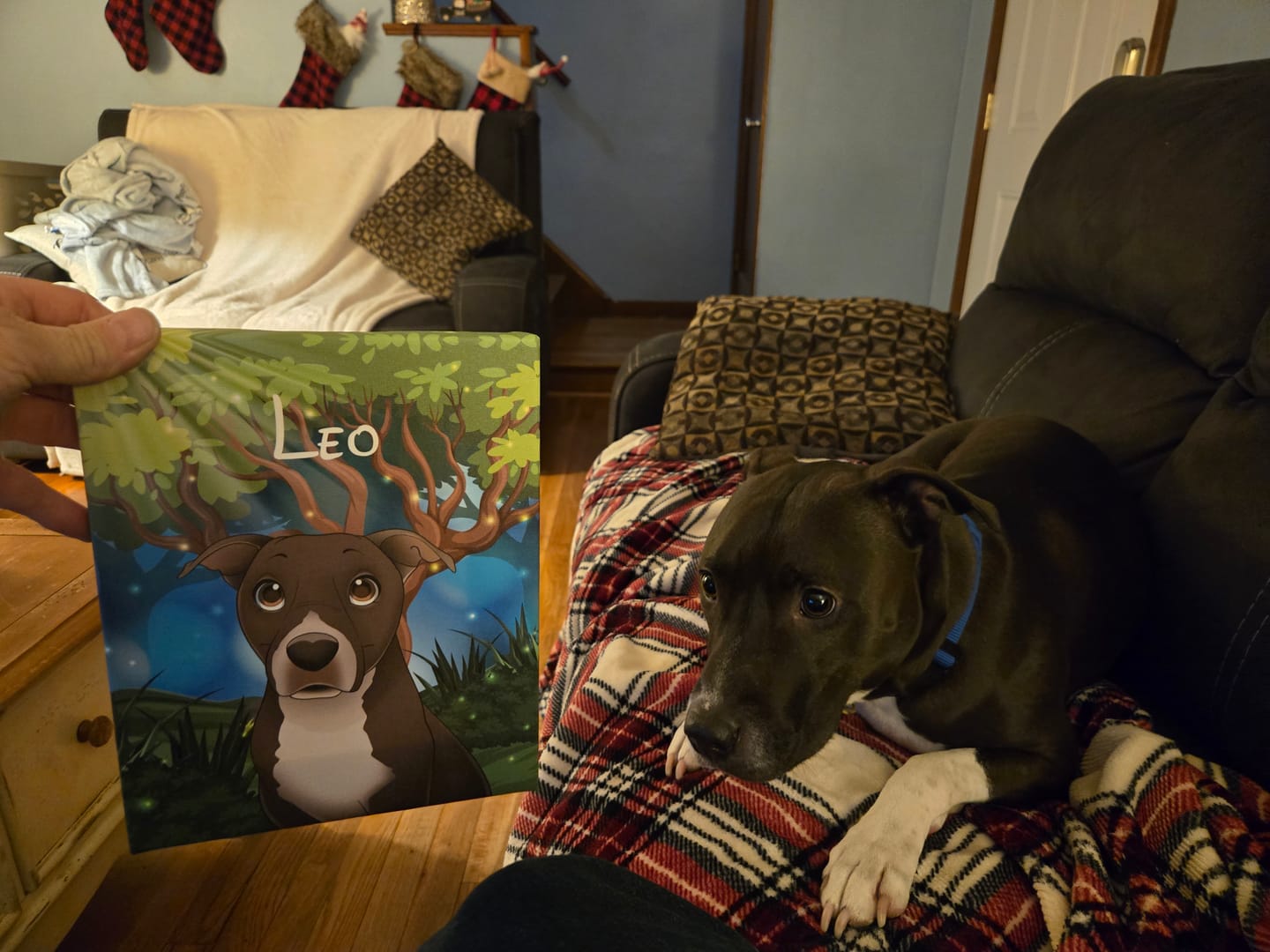 Customer photo review of Disneyfy Pet Cartoon Hand Drawn Portrait