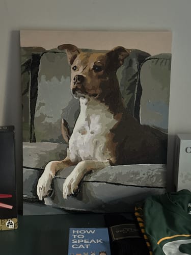 Customer photo review of Custom Paint By Numbers Kit