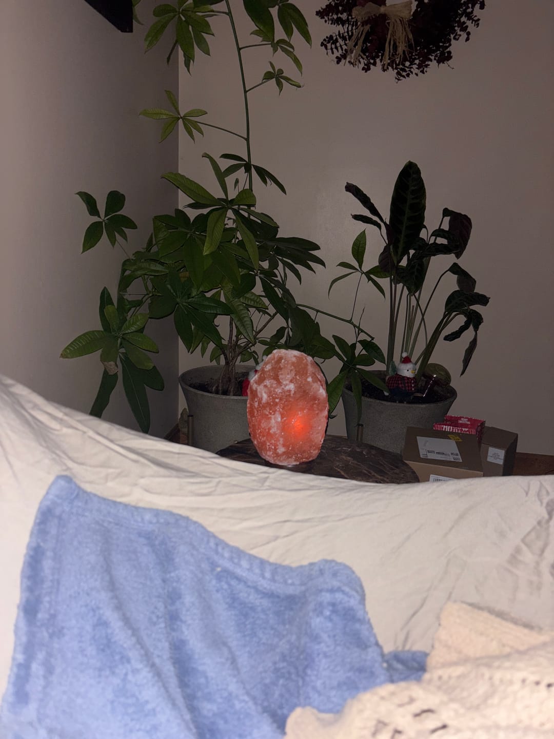 Customer photo review of Original Himalayan Salt Lamp (Large)