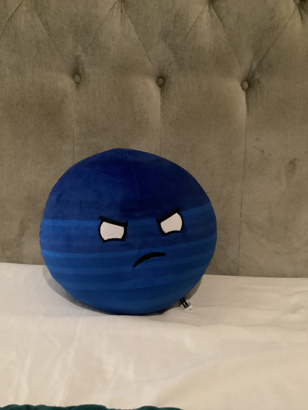 Customer photo review of The SolarBalls Planet X Plush