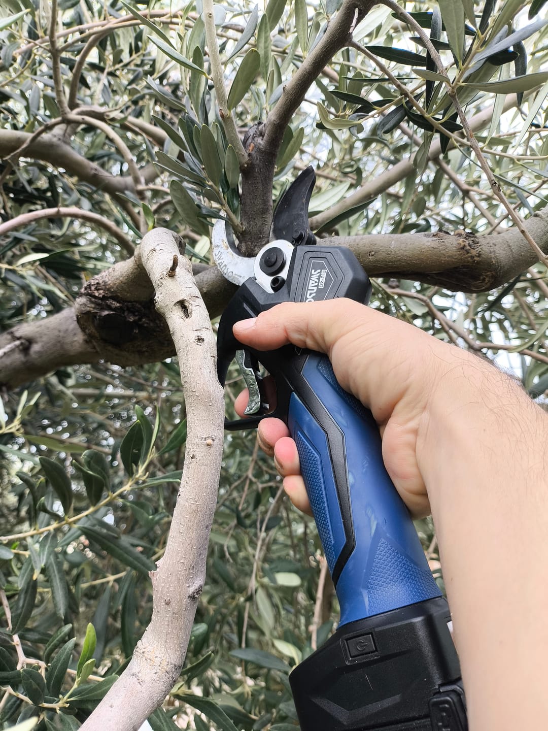 Customer photo review of Forbici Swansoft PRU-40