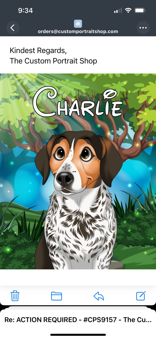 Customer photo review of Disneyfy Pet Cartoon Hand Drawn Portrait
