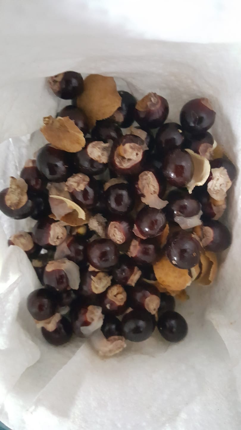 Customer photo review of Longan naturbelassen