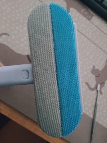 Customer photo review of Pet Hair & Lint Remover with Long Handle