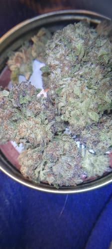 Customer photo review of Cheap THCA Flower Quarter Pound