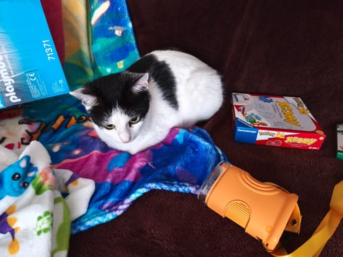 Kundenfoto des orangefarbenen Edubini Abenteuer-Mikroskops, das neben einer Katze und Geschenken auf einer Decke liegt.