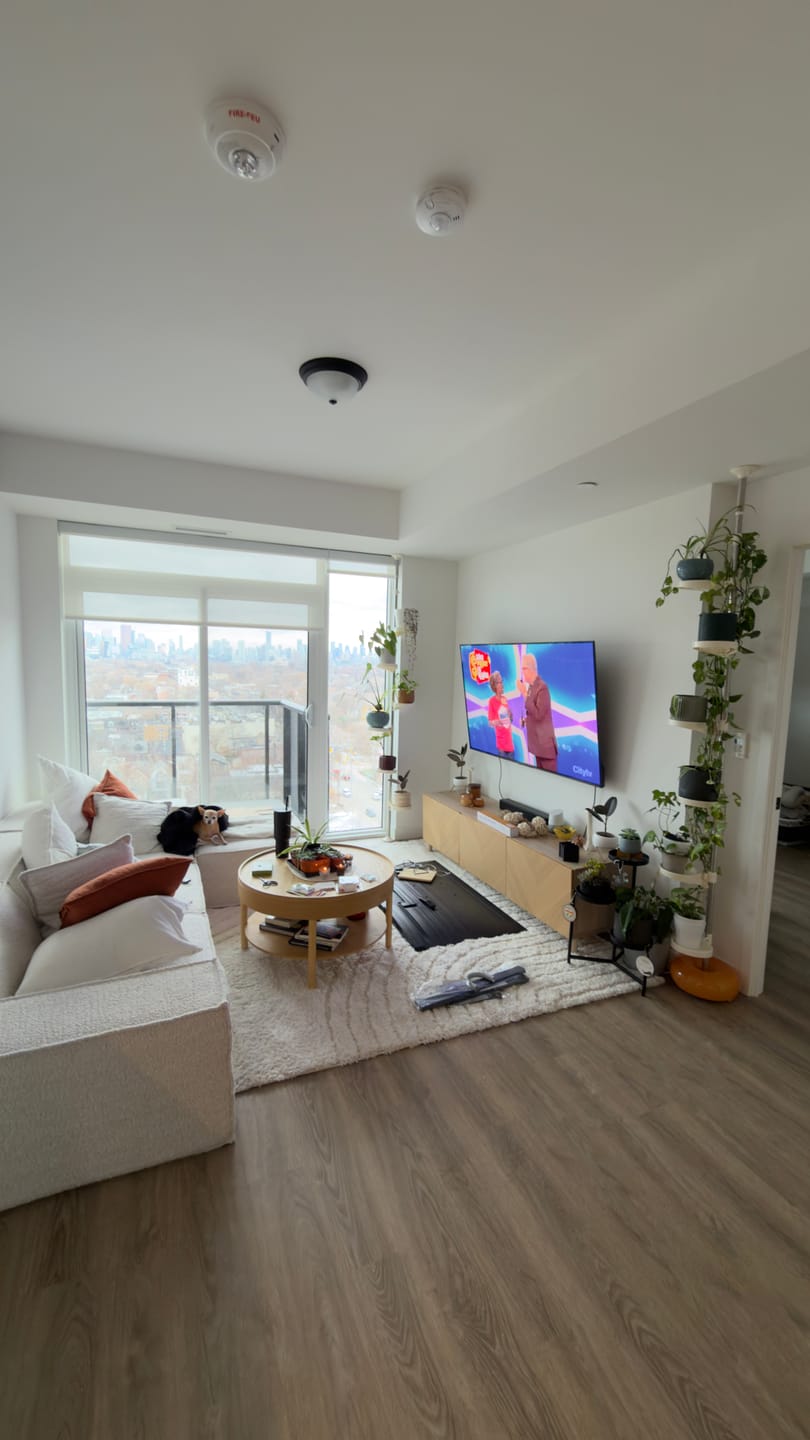 Customer photo review of M1 Sofa Three Seater