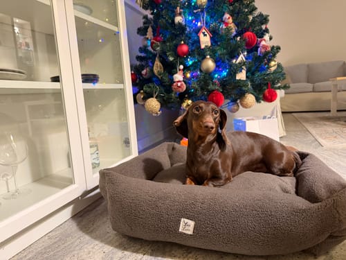 Customer photo review of Cover Divanetto Boucle Teddy Castagno