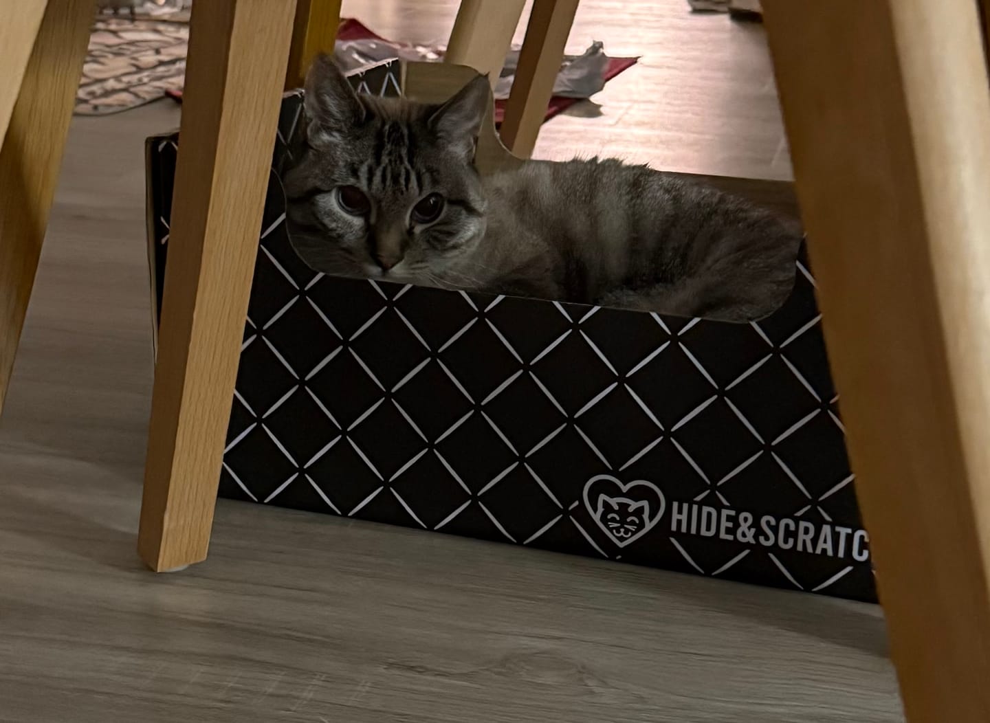Customer photo review of Hide & Scratch Extra-Large Cat Scratcher Box